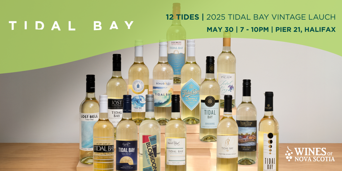 12 Tides | 2025 Tidal Bay Vintage Launch